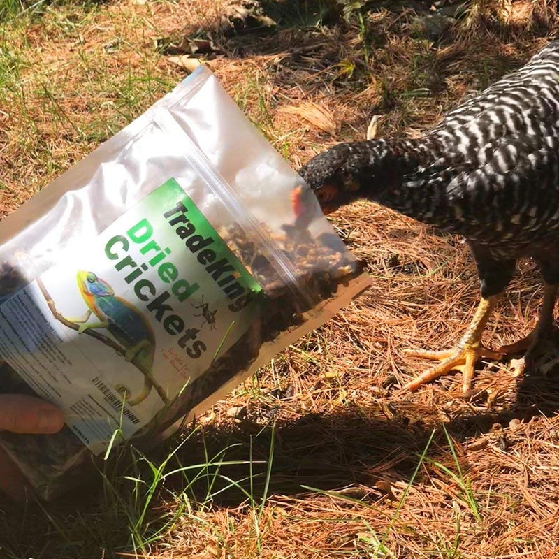TradeKing Natural Dried Crickets, Food for Bearded Dragons, Wild Birds, Chicken, Fish, & Reptiles (8 oz Resealable Bag) Veterinary Certified - Image 5